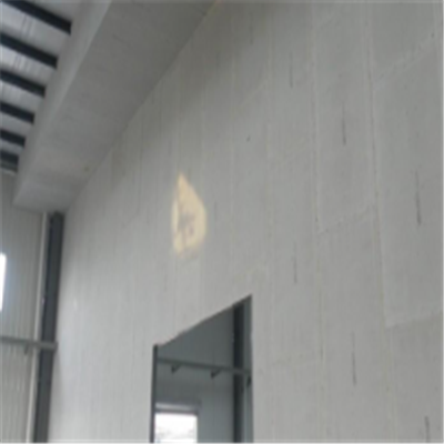 太康宁波ALC板|EPS加气板隔墙与混凝土整浇联接的实验研讨